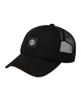ICON MESH